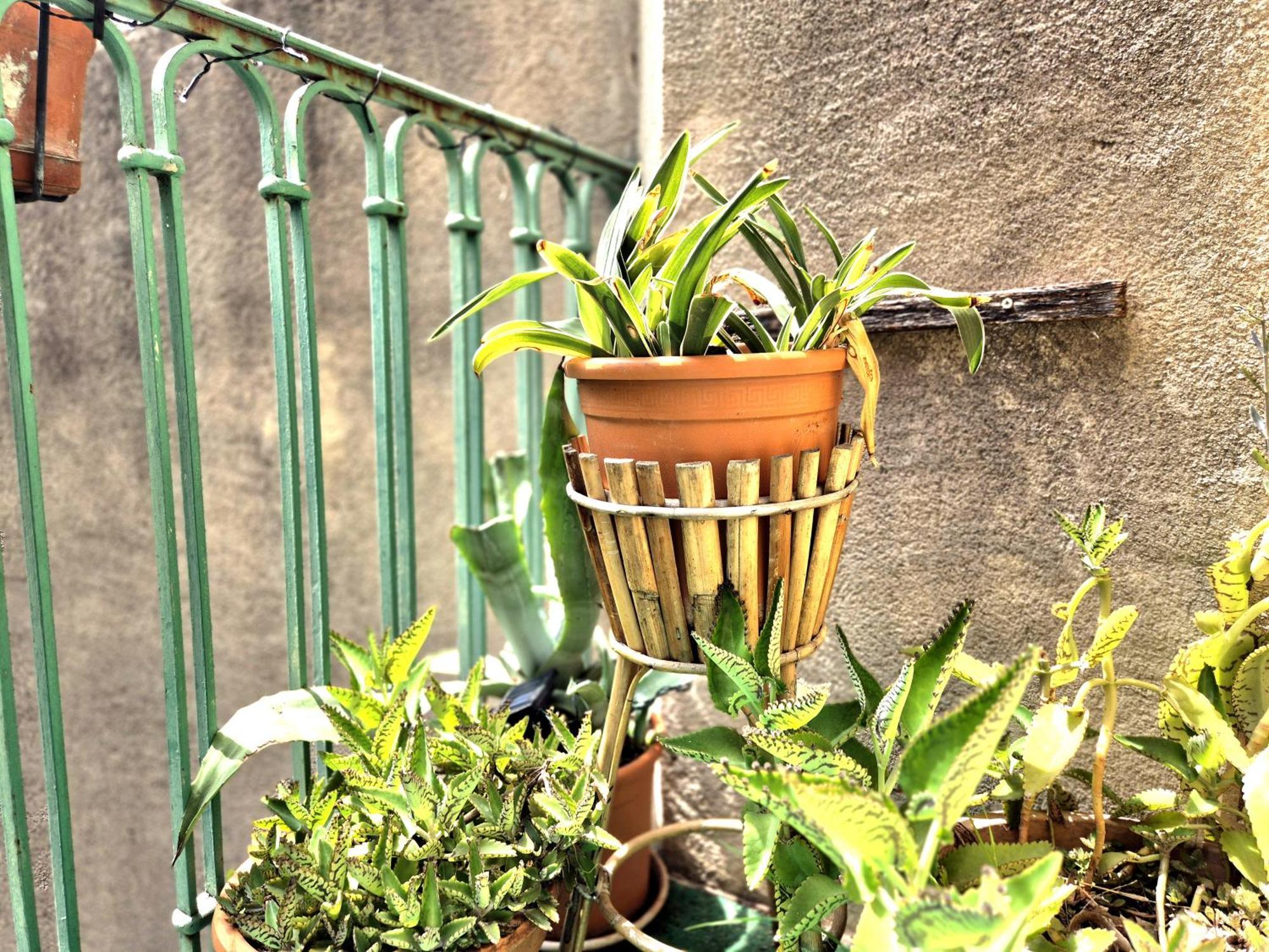 L'artiste - Balcon - Clim Apartment
